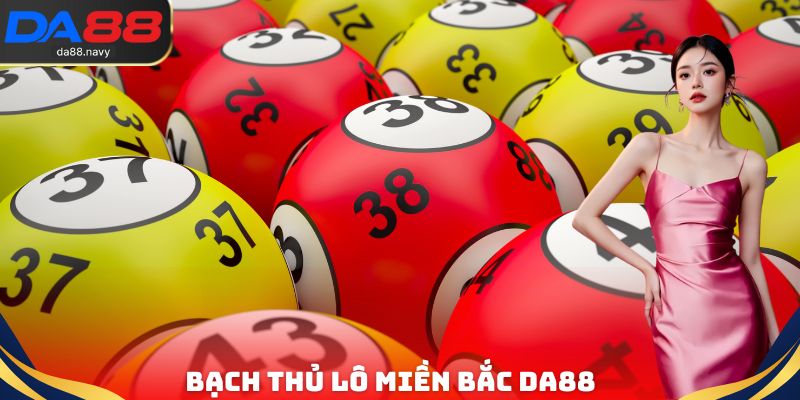 Bạch Thủ Lô Miền Bắc