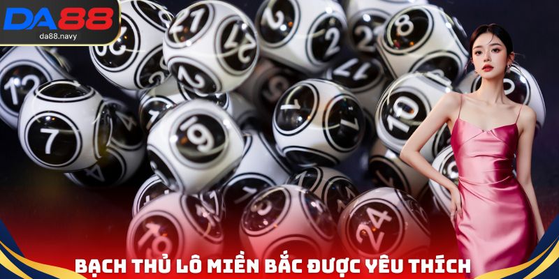 Bạch thủ lô miền Bắc được yêu thích