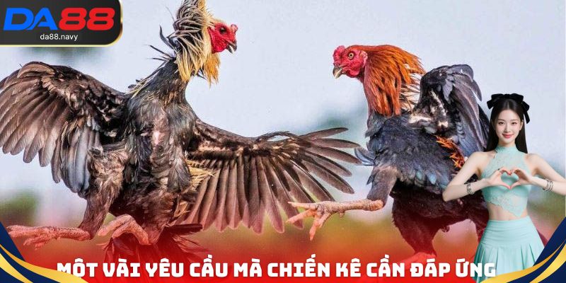 Một vài yêu cầu mà chiến kê cần phải đáp ứng